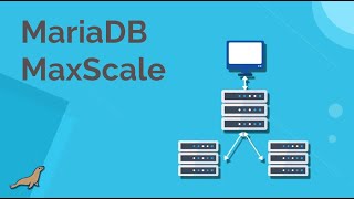 Galera Cluster and Maxscale [upl. by Cahra364]