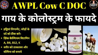 Benefits of Colostrum  Colostrum Ke Fayade  Cow C Doc Awpl  Striker Guru Ji [upl. by Brindle666]