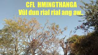 CFL HMINGTHANGA  VÛL DUN RIAL RIAL ANG AW [upl. by Nagram940]