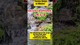 deuteronome 2814 bible dieu jesus psaumepourdormir verset video viral biblemessage psaume [upl. by Kailey]