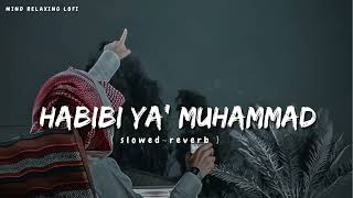 Habibi Ya Muhammad✨ slowed reverb Beautiful Nasheed Naat l Lofi Version l Mind Relaxing Naat [upl. by Talanta]