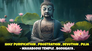 Holy Purification  Prostration  Devotion  Puja  Mahabodhi Temple  Bodhgaya [upl. by Kylah]