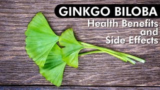 Ginkgo Biloba Review of Benefits amp Side Effects [upl. by Hannah]