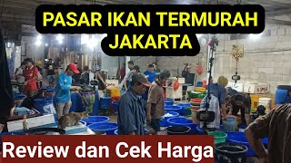 TERMURAH Pelelangan Ikan Kalibaru Cilincing  Pesaing Pasar Ikan Muara Angke  Review dan Cek Harga [upl. by Genny]