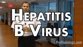 Hepatitis B Virus [upl. by Ahsaenat]