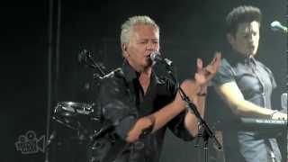 Icehouse  We Can Get Together Live in Sydney  Moshcam [upl. by Haldeman187]