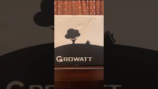 Growatt Inverter [upl. by Aneen]