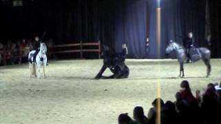 ShowReitSchule Rabea Schmale auf der Hund und Pferd in Dortmund [upl. by Rehpotisrhc]