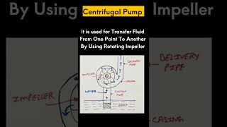 Centrifugal Pump [upl. by Tager]