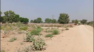 bikaner se 15 km dur camand jamin bikau h ji 9 biga ret 14 lakh par biga 96100568347972025611 [upl. by Noma940]