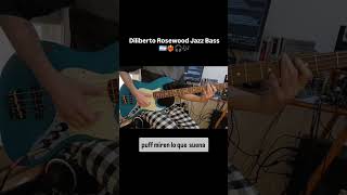 Diliberto Rosewood Jazz Bass Review [upl. by Fusco]