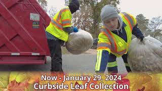 Curbside Leaf Collection 20232024 [upl. by Olraced443]