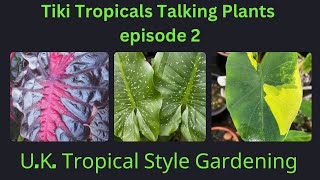 Talking Tropical Plants Zantedeschia and Colocasia [upl. by Carr]