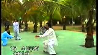 Daoist Nourishing Taiji Quan  Ling Chen 道家养生太极拳 [upl. by Aeslek]