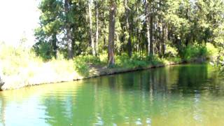 Cheap RV Park Swim Coeur D Alene [upl. by Retlaw937]