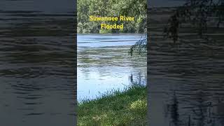 The Suwannee River [upl. by Tod]