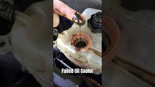 Another Failed Oil Cooler oilcooler oilincoolant carmemes [upl. by Paulita]