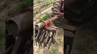 Garden cultivation with the farmall 140 and home built cultivator [upl. by Kelam38]