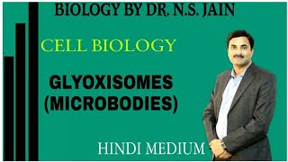 Principle of Biodegradation of PesticideXenobiotics [upl. by Sella]