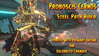 Warframe  Proboscis Cernos Updated Steel Path Build With Primary Arcane and Galvanized [upl. by Airetnuhs92]