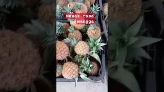 Nanas rasa mangga Made in Malaysia [upl. by Dewhurst]