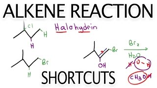 Alkene Reaction Shortcuts and Products Overview by Leah Fisch [upl. by Nos]