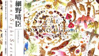 Haruomi Hosono  Omni Sight Seeing  07 LaughGas [upl. by Ahsaei]