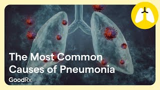 The Most Common Causes of Pneumonia  GoodRx [upl. by Wharton128]