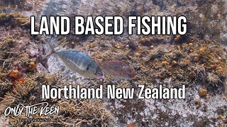 Northland NZ land based fishing We cook a feed on the beach fishing rockfishing adventure [upl. by Beach]