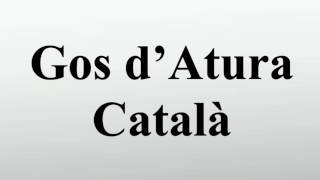 Gos d’Atura Català [upl. by Nerahs]