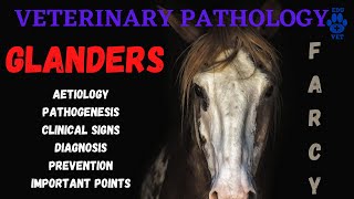 Glanders Equine Farcy  Aetiology  Pathogenesis  Symptoms amp Diagnosis [upl. by Zobkiw]