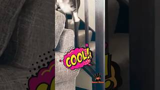 Hilarious Cat Fails 🐾🤣 cat animals babyanimals [upl. by Orvan]