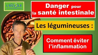 Digestion difficile et problème aux Intestins  pourquoi et comment TOUJOURS cuire les légumineuses [upl. by Lantz828]