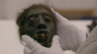 DNA Analysis Reveals Troubling News About Shrunken Heads [upl. by Hallam]