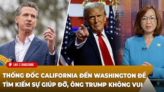 Cà Phê Sáng P4 11122024 Thống đốc Cali đến Washington tìm kiếm sự giúp đỡ ông Trump không vui [upl. by Henry]