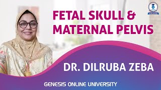 Fetal Skull amp Maternal Pelvis  Gynae amp Obs  Dr Dilruba Zeba [upl. by Lenneuq]