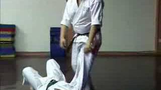 GOJU RYU KARATE  TRAINING TECHNIQUES 2 [upl. by Gnilhsa]