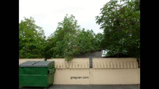 Keep Backyard Trees off of Buildings and Sheds  Home Damage Prevention [upl. by Sherburn]