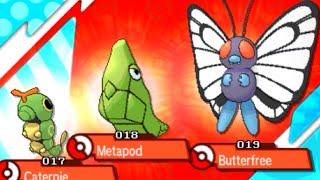 How to Catch CATERPIE METAPOD and BUTTERFREE  Pokemon Sun amp Moon [upl. by Donahoe]