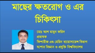 মাছের ক্ষতরোগ কারন প্রতিকার চিকিৎসা। Epizootic Ulcerative Syndromes reasons treatments [upl. by Mcconnell583]