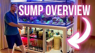 Full Tour  Dream Reef Sump and Filtration System [upl. by Anilyx]