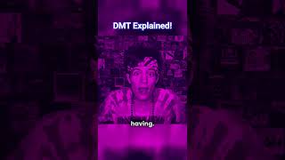 The Spirit Molecule aka DMT Explained [upl. by Retluoc]