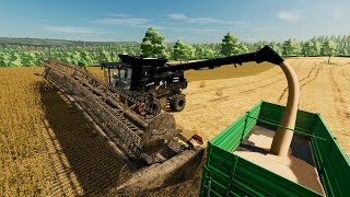 Harvesting Soybeans Farming Simulator 22 66 [upl. by Ylrebmik738]