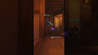 Is Reinhardt actually insane [upl. by Kravits]