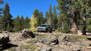 First Time Off Roading In The 2022 TRD Off Road Toyota Tacoma  Shooting my Compound Bow [upl. by Toback434]