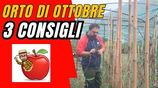 ORTO DI OTTOBRE e alla fine ti dico cosa fare agricoltura ottobre orto compost [upl. by Hamann]