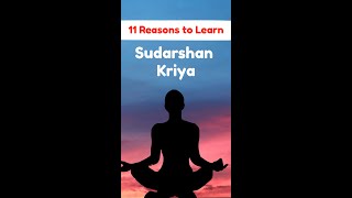 Benefits of Sudarshan Kriya sudarshankriya srisriravishankar [upl. by Ojahtnamas]