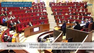 Les consultations citoyennes sur lEurope  cese [upl. by Wolfram]