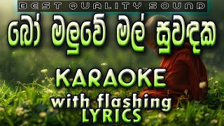 Bo Maluwe Mal Karaoke with Lyrics Without Voice [upl. by Matronna]