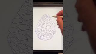 draw an open Pinecone in procreate [upl. by Ahsiyk511]